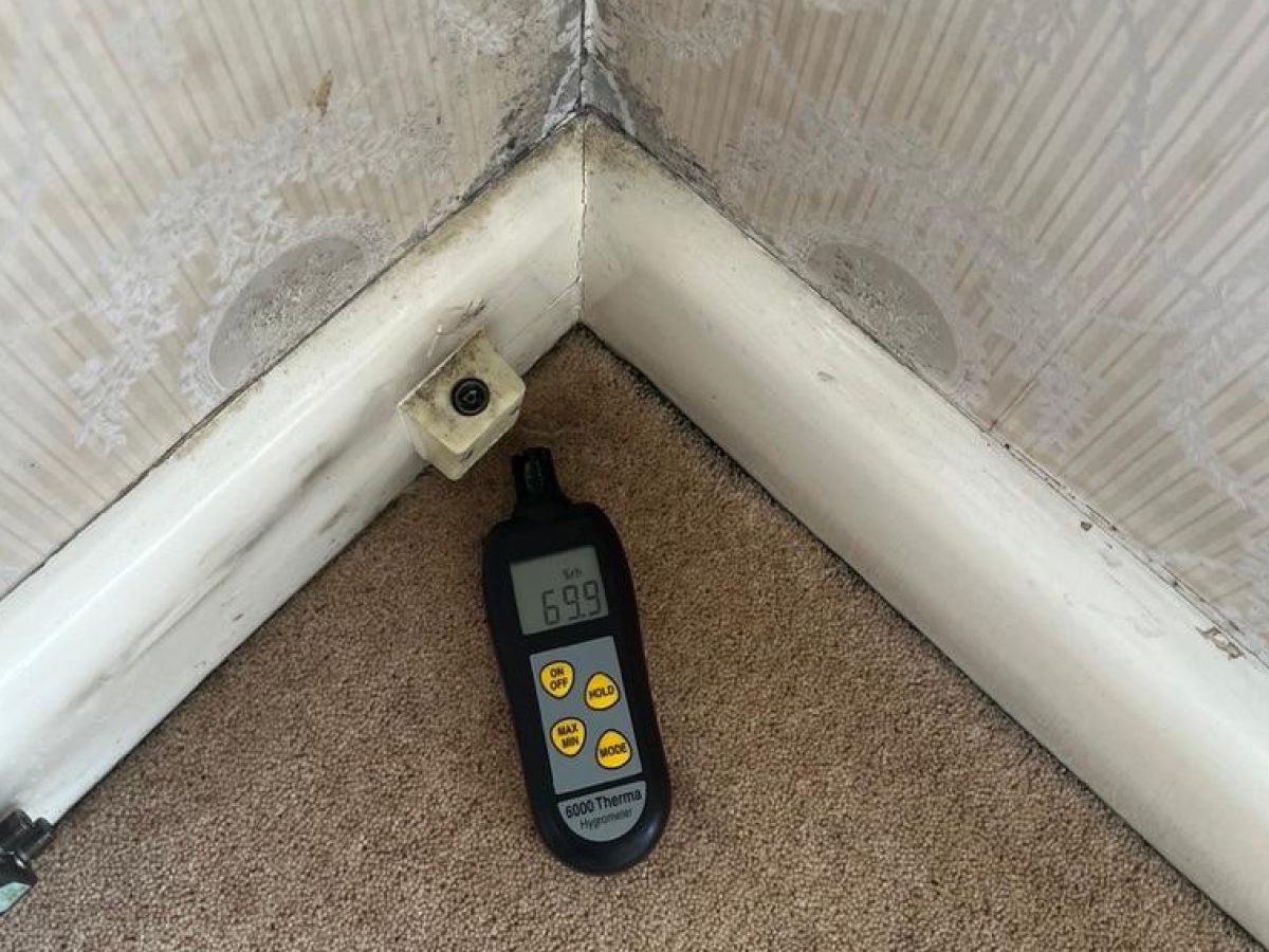 General IAQ Assessment using our trend monitoring equipment